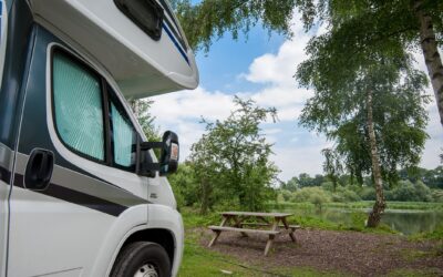 Platzwart (m/w/d) / geringfügige Beschäftigung