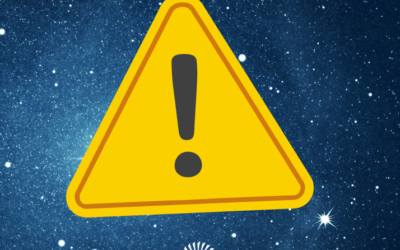 Information zur Beckenbelegung